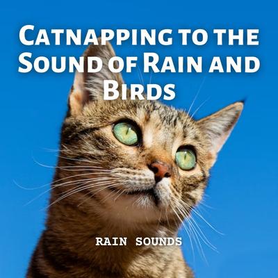 Rain Sounds: Catnapping to the Sound of Rain and Birds's cover