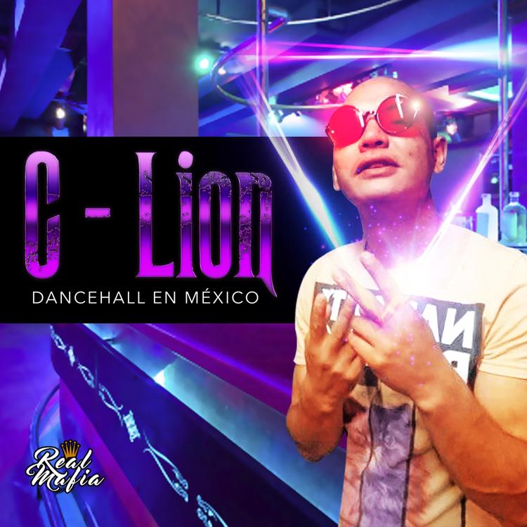 C - Lion's avatar image