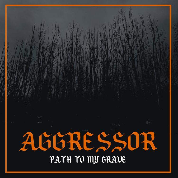 Aggressor's avatar image