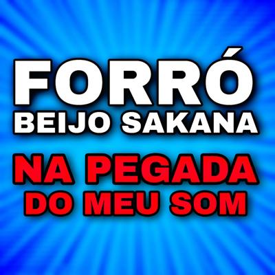 Na Pegada do Meu Som By Forró Beijo Sakana's cover