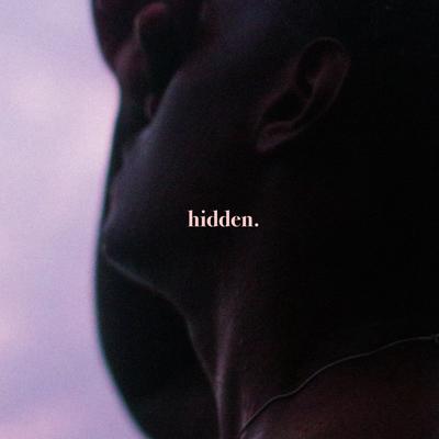 Hidden By Sondae's cover
