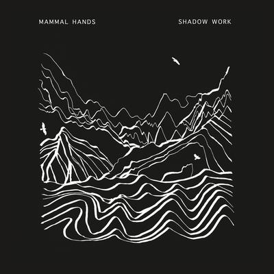 Wringer By Mammal Hands's cover