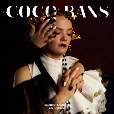 Being Brave Is Stupid (feat. Von Pourquery) By Coco Bans, Von Pourquery, Coco Bans, Von Pourquery's cover