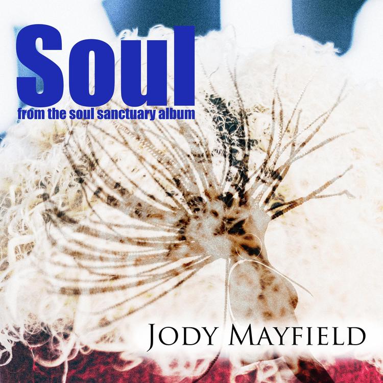 Jody Mayfield's avatar image