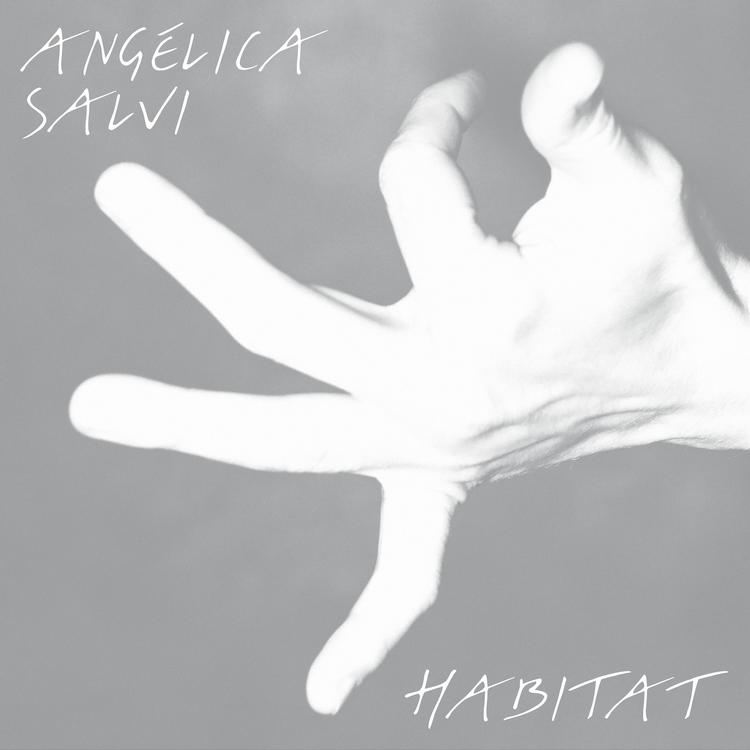 Angélica Salvi's avatar image