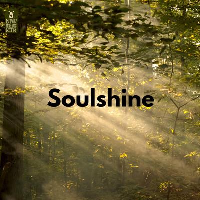 Soulshine By David and the Bear's cover