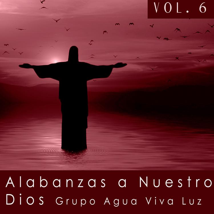 grupo agua viva luz's avatar image