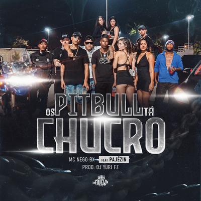 Os Pitbull Tá Chucro By Pajézin, Mc Nego BX, Dj Yuri FZ's cover