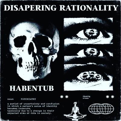 DISAPERING RATIONALITY By Habentub's cover