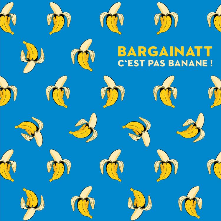 Bargainatt's avatar image