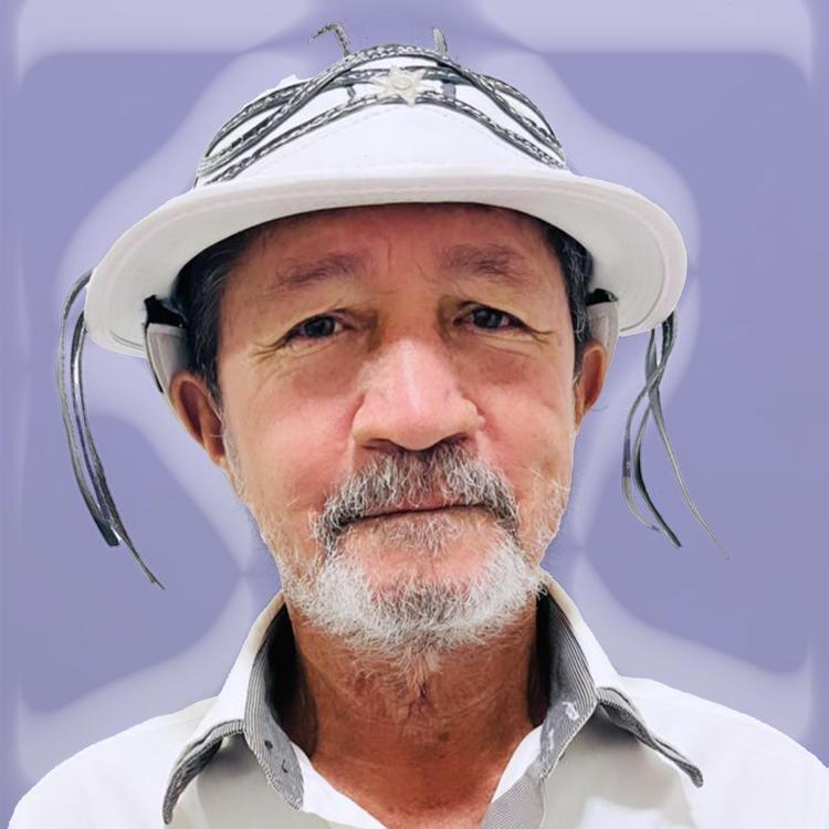 Luis de lauro aboiador's avatar image