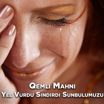 Yel Vurdu Sindirdi Sunbulumuzu's cover