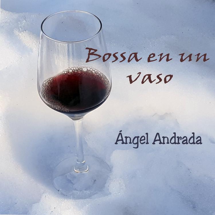 Ángel Andrada's avatar image