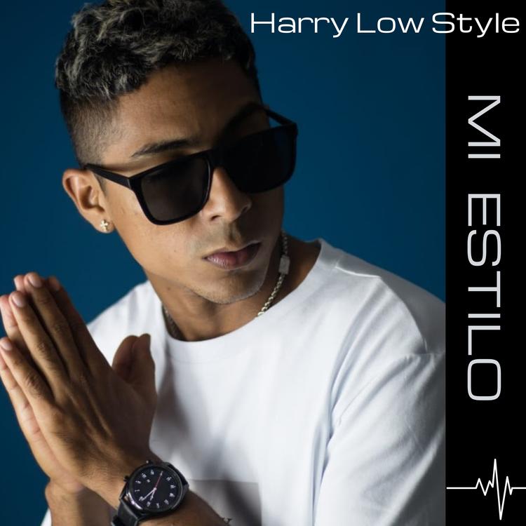Harry Low Style's avatar image