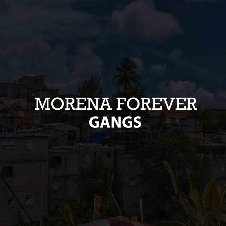 Morena forever's avatar image