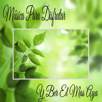 Música para Disfrutar y Ber el Mas Aya's cover