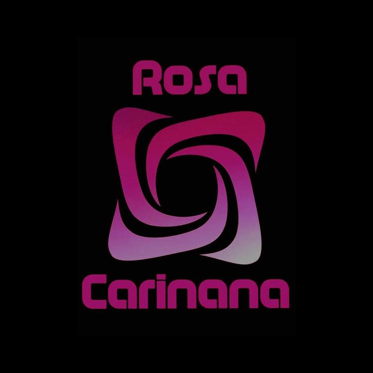 Rosa Carinana's avatar image