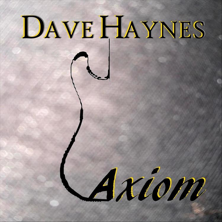 Dave Haynes's avatar image