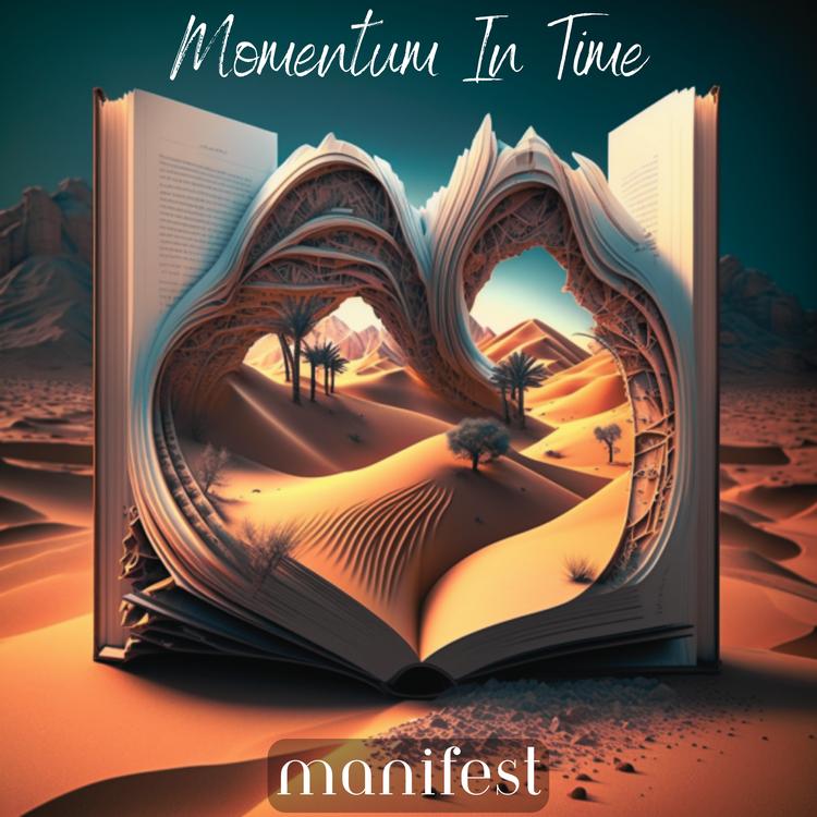 Momentum In Time's avatar image