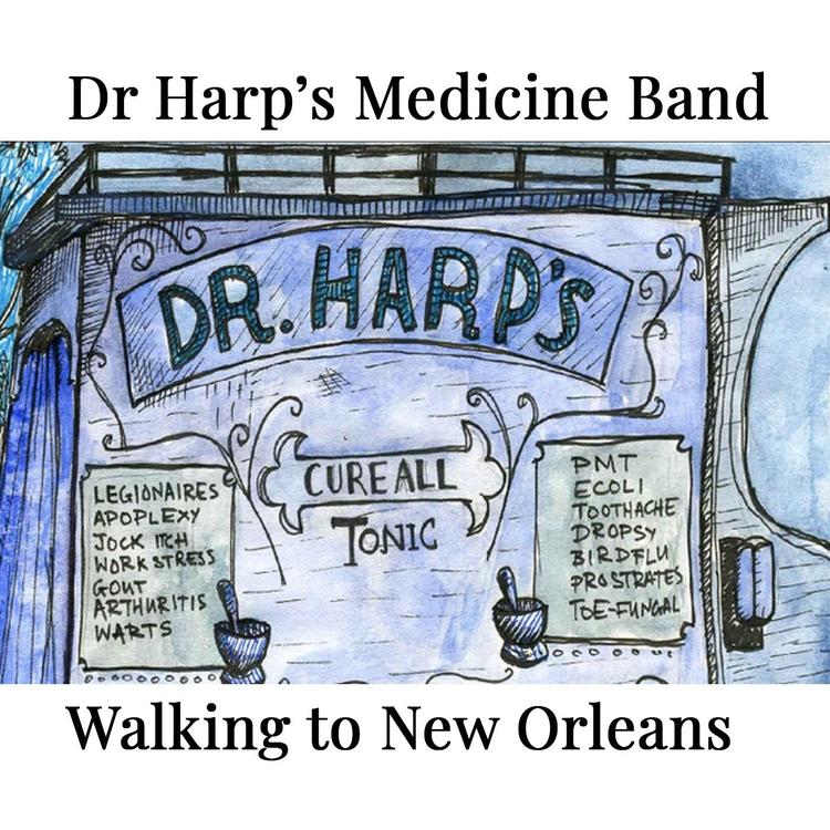 Dr Harp's Medicine Band's avatar image