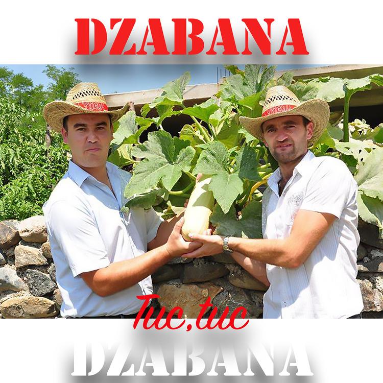 Dzabana's avatar image