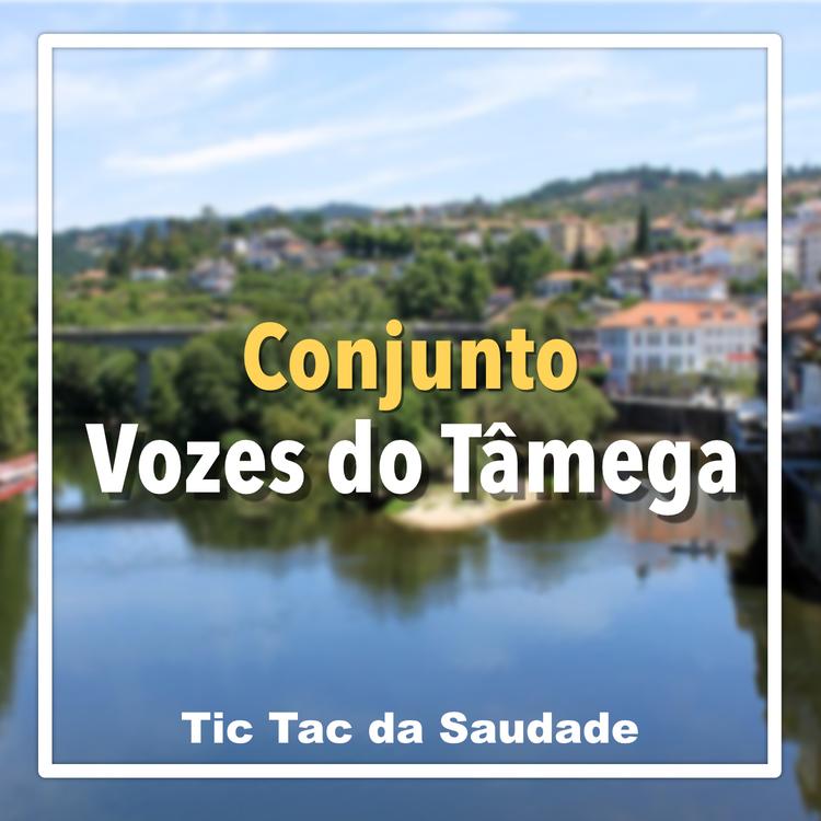 Conjunto Vozes Do Tâmega's avatar image