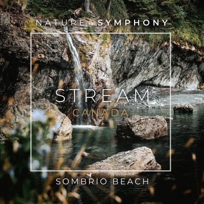 Sombrio By Nature Symphony's cover