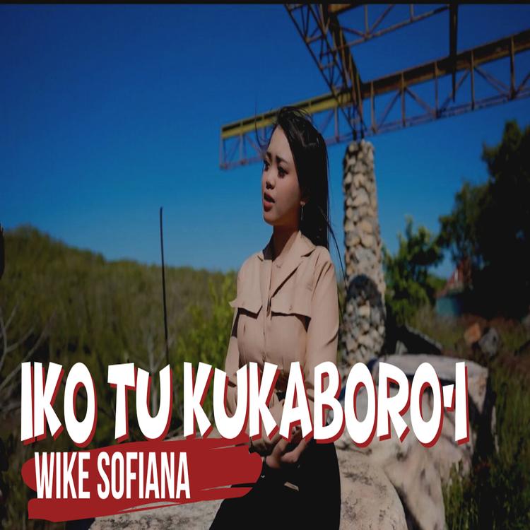 Wike Sofiana's avatar image