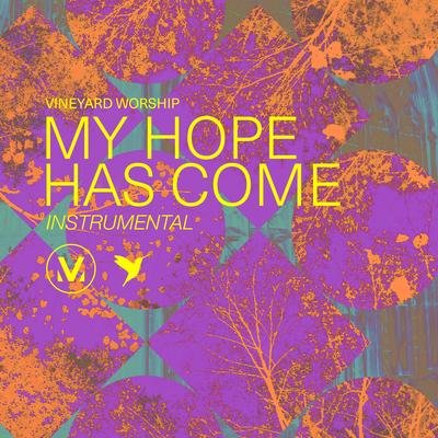 My Hope Has Come [Instrumental]'s cover