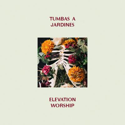 Tumbas A Jardines (Graves Into Gardens) (feat. Brandon Lake)'s cover