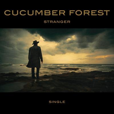 Stranger By Cucumber Forest, DEE's cover