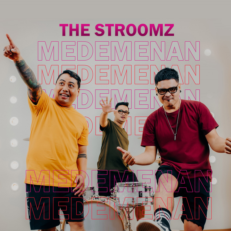 The Stroomz's avatar image