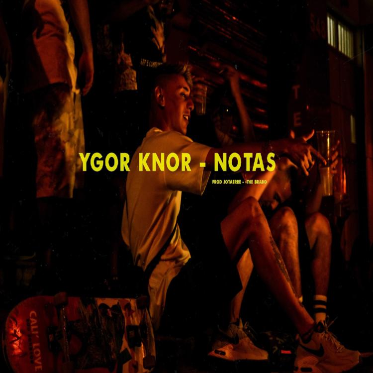 Ygor Knor's avatar image