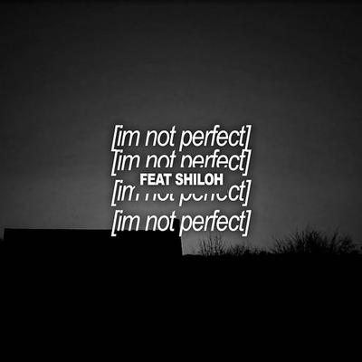 i'm not perfect's cover