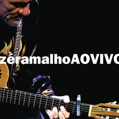 Sinônimos (Ao Vivo) By Zé Ramalho's cover