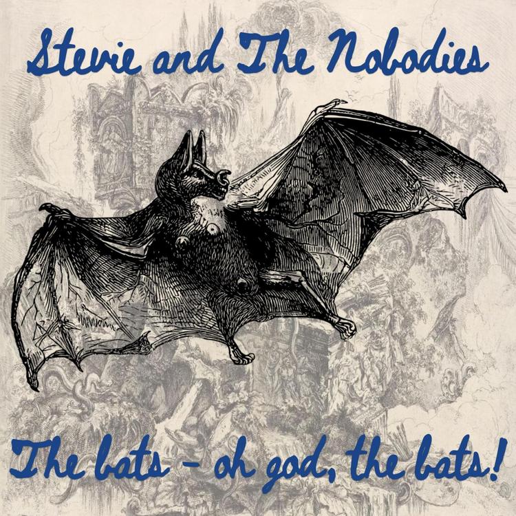 Stevie and The Nobodies's avatar image