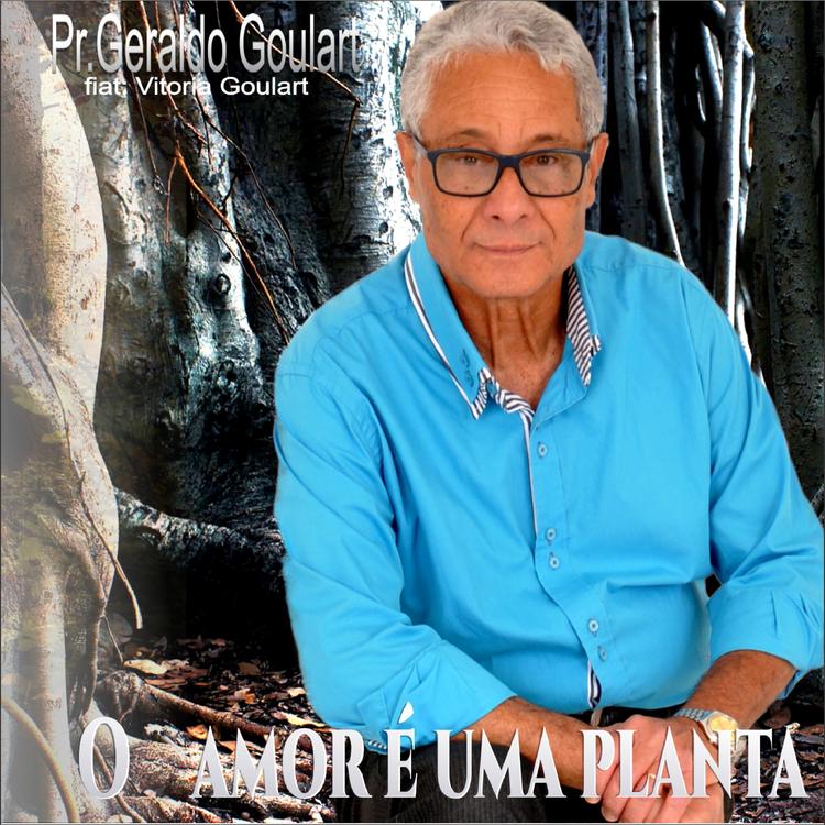 Geraldo Goulart's avatar image