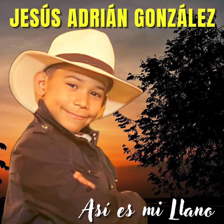 Jesús Adrián González's avatar image