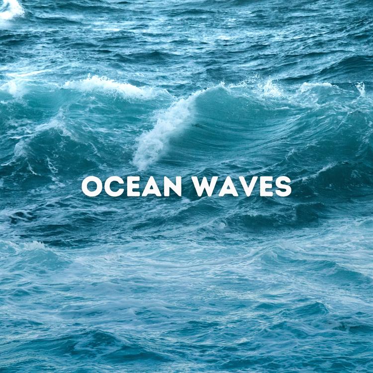 Ocean Waves's avatar image