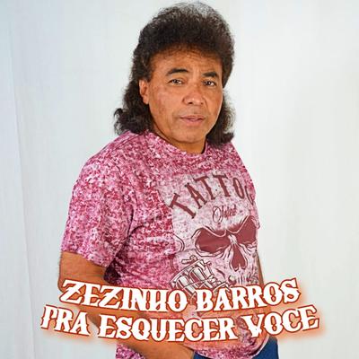 Zezinho Barros's cover