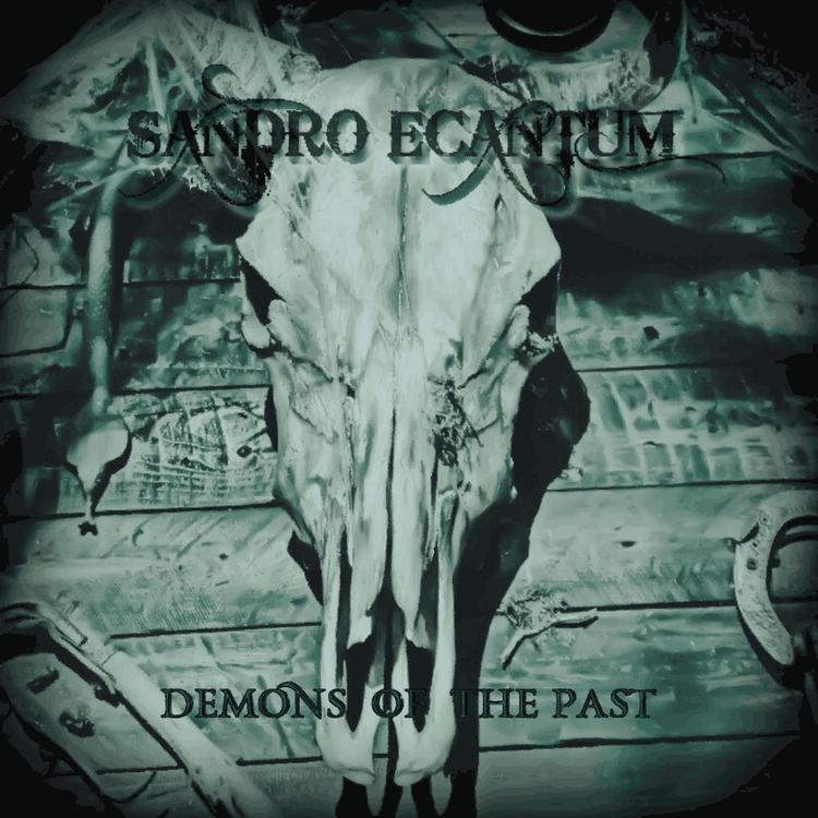 Sandro Ecantum's avatar image