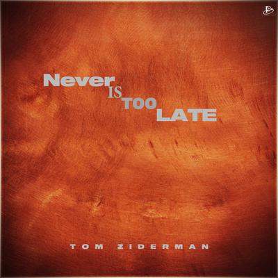 Never is Too Late's cover