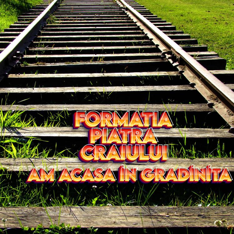 FORMATIA PIATRA CRAIULUI's avatar image