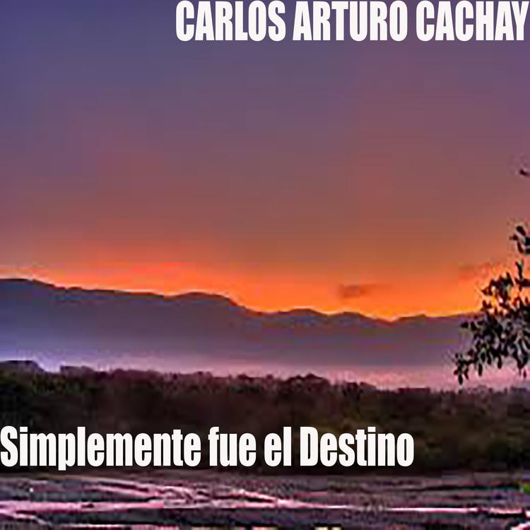 Carlos Arturo Cachay's avatar image