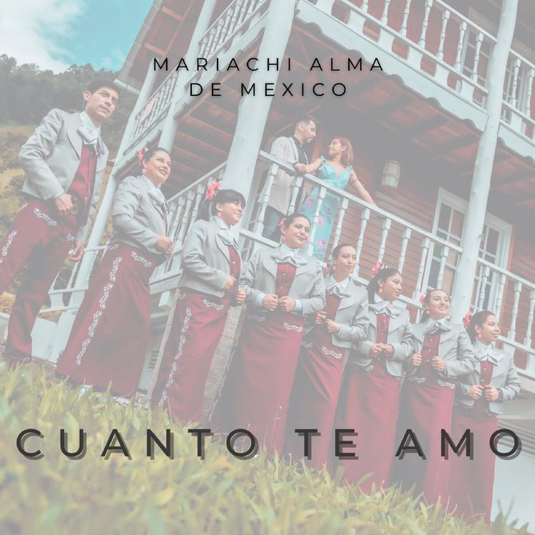 Mariachi Alma de México's avatar image