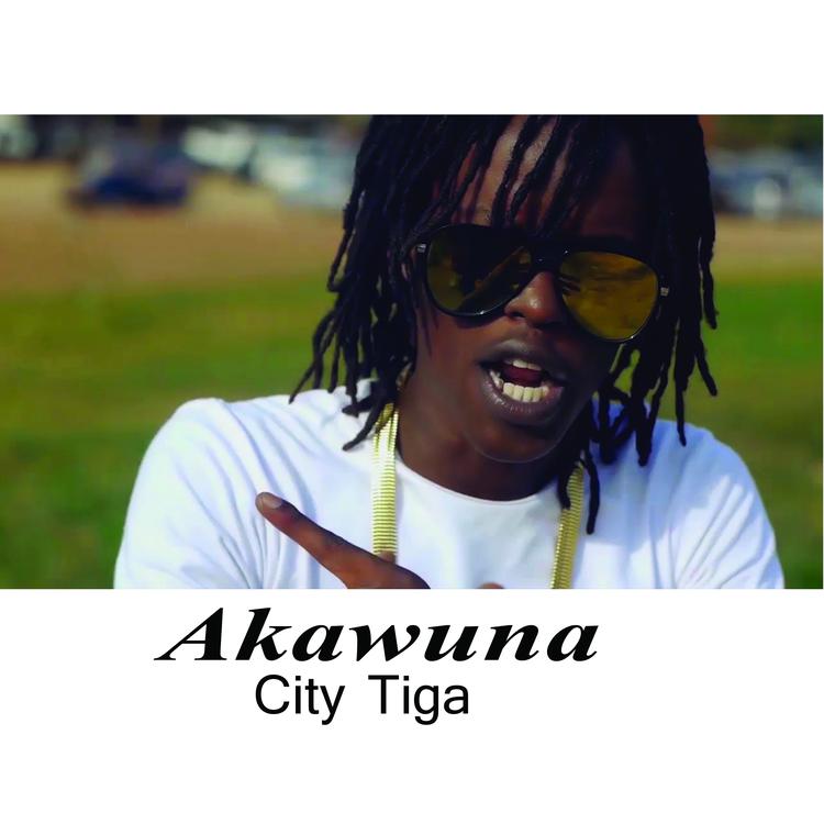 City Tiga's avatar image