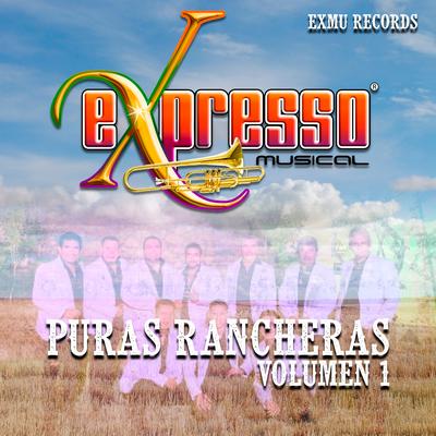 Puras Rancheras, Vol. 1's cover