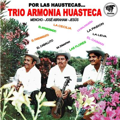 El Caimán By Trio Armonia Huasteca's cover