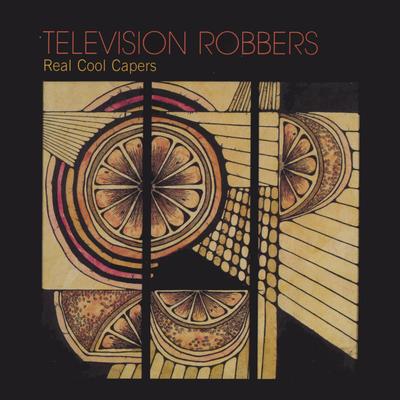 Puddleflower By Television Robbers's cover