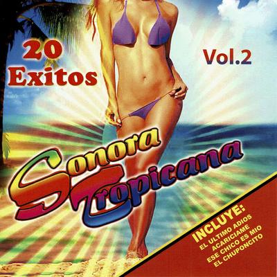 20 Éxitos, Vol. 2 - Incluye: El Último Adiós La Ex La Loba's cover